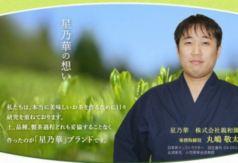 【S-002】八女伝統本玉露:星乃しずく茶Cセット