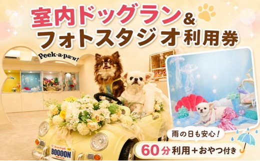 
                  小型犬 専用ドックラン フォトスタジオ 利用券 おやつ付き 室内 屋内 冷暖房完備 ドックラン ふるさと納税限定プラン どっくらん  カーペット仕様 わんちゃん 遊び場 写真スタジオ 利用券 チケット お誕生日 記念日 撮影 小型犬 犬 いぬ Dog イヌ わんこ 雑貨 10000 BOOOON湘南辻堂店 神奈川 湘南 藤沢
                