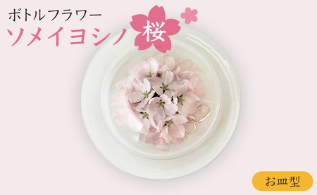 ボトルフラワー 桜 ソメイヨシノ お皿型 置物 桜