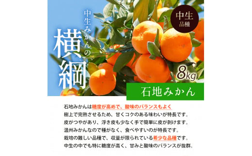 M160-0021-5_【配送不可地域：北海道・沖縄県・離島】【2025年出荷】石地みかん 8kg（＋250g）   果物・野菜 みかん ミカン 蜜柑 柑橘 温州みかん