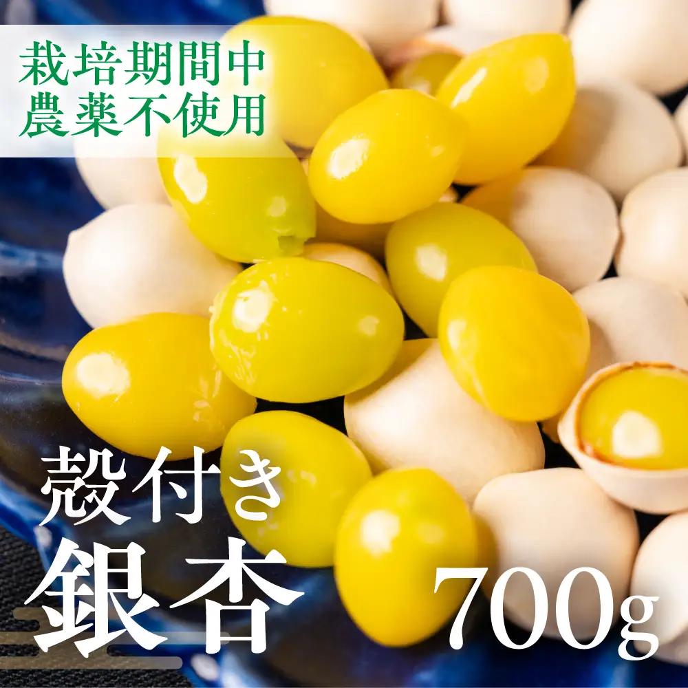先行予約受付中 ふっくら銀杏 700g｜銀杏