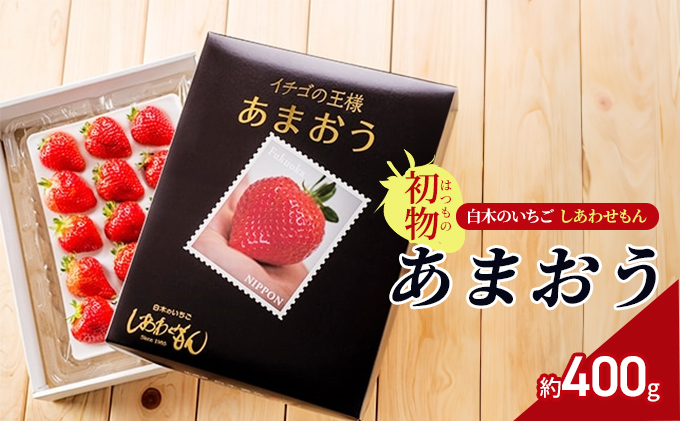 
            いちご 初物 2024年内にお届け あまおう 約400g (12～15粒) 白木のいちご しあわせもん イチゴ 苺 果物 デザート ※配送不可：沖縄・離島・北海道・東北
          