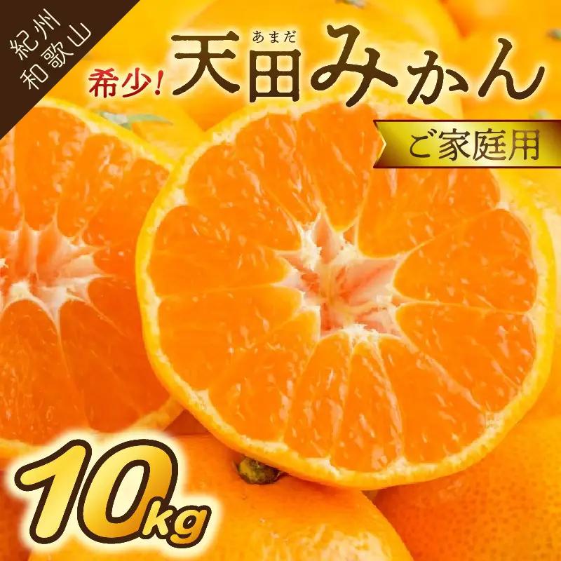 【0617-4】希少！天田みかん（紀州和歌山）ご家庭用10kg