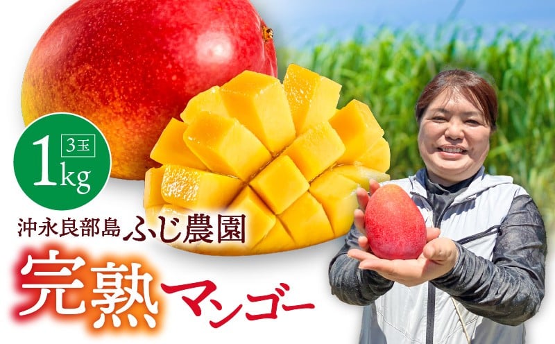 
            【2026年先行予約】ふじ農園の完熟マンゴー 1kg　C031-001
          