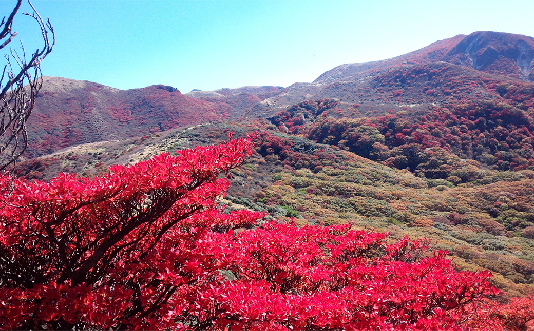 ガイドと楽しむ牧ノ戸峠から久住山 登山チケット 