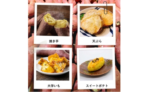 ＜宮城県産＞仙台金時　さつまいも約1kg【1748706】