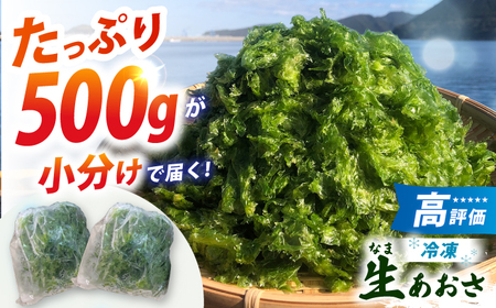 冷凍生あおさ50g×10袋 計500g[RBN007] あおさ アオサ あおさ アオサ あおさ アオサ あおさ アオサ あおさ アオサ あおさ アオサ あおさ アオサ九州 長崎