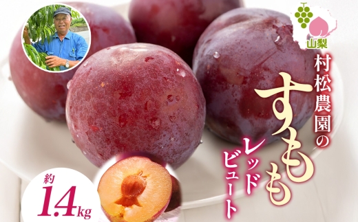 すもも 大石早生 6パック 約1.4kg スモモ プラム フルーツ 果物 産地直送 旬 果実 甘酸っぱい 爽やか 果汁 ジューシー こだわり 新鮮 人気 美味しい おやつ 贈答 ギフト 贈り物 村松農園 送料無料 山梨県 笛吹市 177-5-010