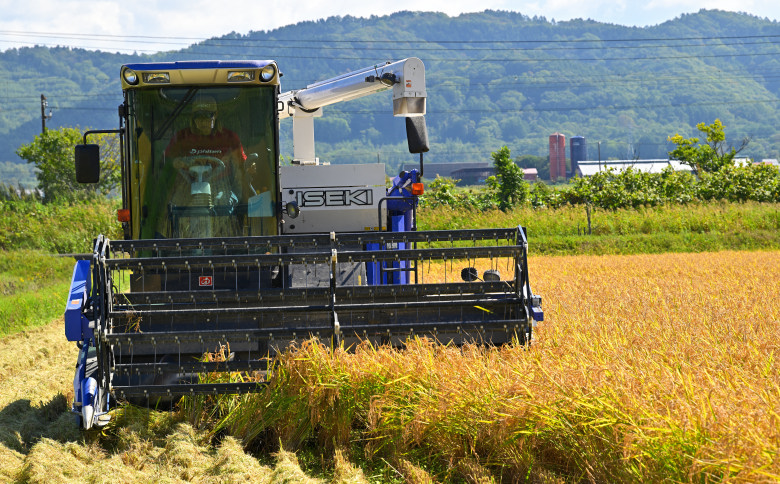 【新米予約】北海道奈井江町　特別栽培米　ゆめぴりか【無洗米】　5kg