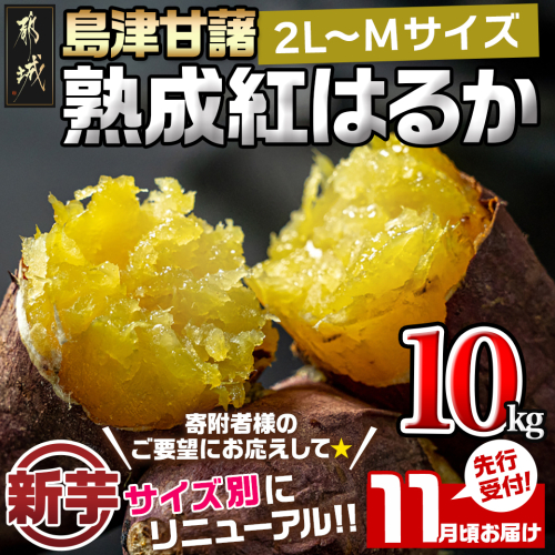 先行受付!【11月お届け】島津甘藷　熟成紅はるか 10kg(2L～M)_AA-A701-11