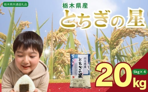 とちぎの星 20kg（5kg×4袋） | 米 こめ コメ kome 白米 精米 お米 とちぎのほし トチギノホシ ﾄﾁｷﾞﾉﾎｼ 粘り 弾力 冷めても美味しい 丼もの カレー 栃木米 令和7年度米 令和7年度 2025年度米 2025年度 ブランド米 栃木県 特産品 送料無料 【栃木県共通返礼品】 栃木県 下野市 しもつけ市