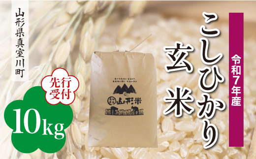 ＜令和7年産米先行受付＞ 真室川町産 こしひかり 【玄米】 10kg （10kg×1袋）＜配送時期指定可＞