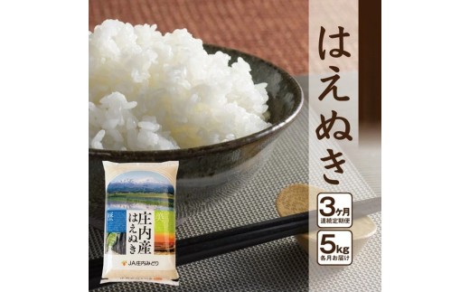 ≪3ヶ月定期便≫ はえぬき 5kg×3ヶ月 計15kg 山形県庄内産 毎月中旬にお届け 東北 山形県 酒田市 庄内地方 米 精米 白米 お米 ごはん ご飯 庄内米 農協 JA 定期便 産地直送 JA庄内みどり SE0522