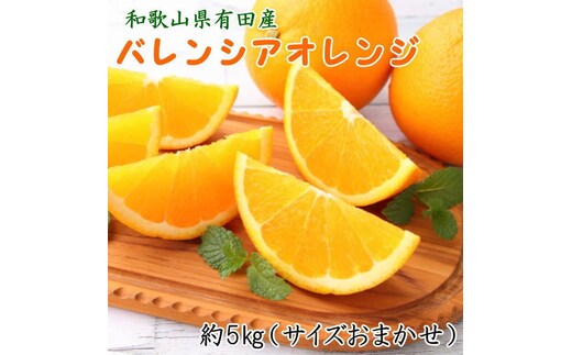 
										
										和歌山有田産バレンシアオレンジ約5kg（サイズおまかせ） ※2025年6月下旬～7月下旬頃に順次発送予定
									
