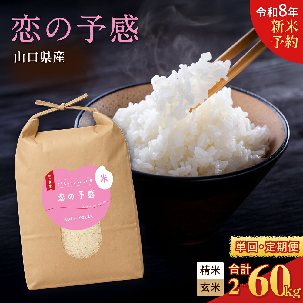 【ふるさと納税】 【令和8年産 先行予約】 数量限定 お米 2kg 5kg 10kg 15kg 20kg 30kg 選べる 容量 回数 定期便 恋の予感 米 こめ 白米 精米 玄米 お取り寄せ 食品 おすすめ ギフト 贈答 家庭用 便利 お手軽 備蓄 ご飯 お弁当 おにぎり 産地直送 美味しい米 下関 山口