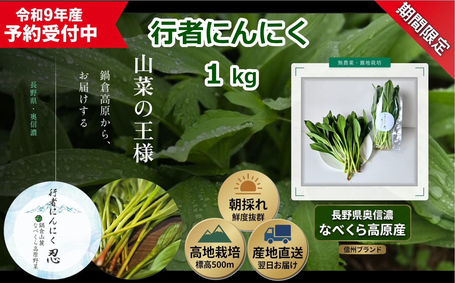 
                  【期間限定】行者にんにく 忍 1kg入り　1箱(140枚～150枚)《出荷時期：2026年5月上旬頃〜》株式会社ForestDoor｜長野県 飯山市 信州 新鮮 直送 山菜 ビタミン 健康  (Ce-013)
                