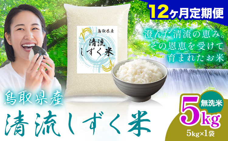【12ヶ月定期便】鳥取 ふるさと 無洗米 5kg  清流しずく米《お申し込み月の翌月から出荷開始》鳥取県 八頭町 米 お米 ご飯 八頭 ふるさと無洗米 生活応援 ブレンド米 複数原料米 訳あり 小分け kome ご飯