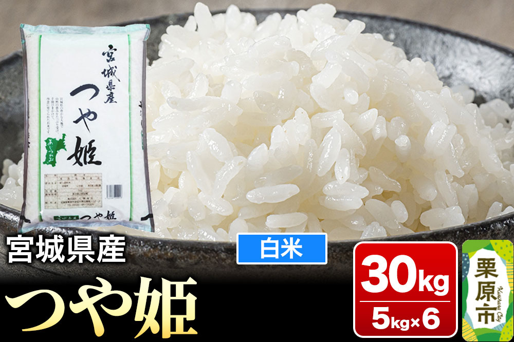 
            【令和6年産・白米】宮城県産 つや姫 30kg (5kg×6袋)
          