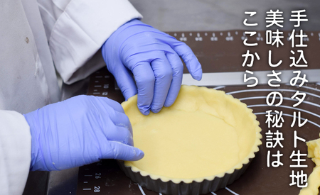 いちじく レアチーズタルト いちじくたっぷり タルト イチジク 冷凍 スイーツ 洋菓子 デザート 季節限定 お取り寄せ