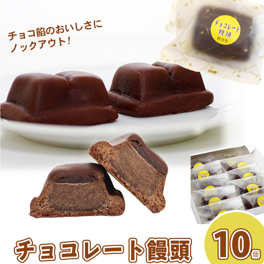 ＜山田桂月堂＞チョコレート饅頭　10個入り 【35P5606】