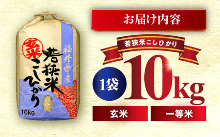 【新米】 福井県産 コシヒカリ 玄米 10kg 一等級 /甘みと粘りが自慢 王道米 こしひかり 小浜市 / 若狭ふれいあい市場[BFEL001]