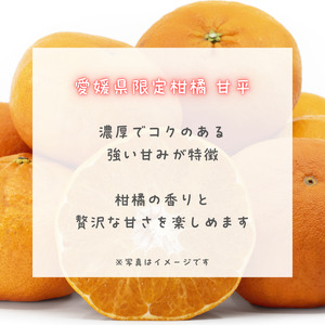 PURE DROP 2本セット 八朔1本 甘平1本