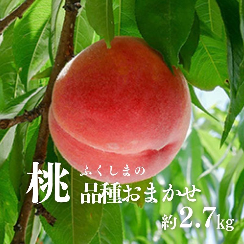 【ふるさと納税】No.2870 もも（品種おまかせ）約2.7kg【2025年発送】
