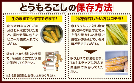 【先行予約】朝採りとうもろこし スーパースィート 「ゴールドラッシュ」 特大サイズ 20本(1本380g以上) Lサイズ 嶋崎農園 《2026年8月中旬-9月中旬頃出荷》