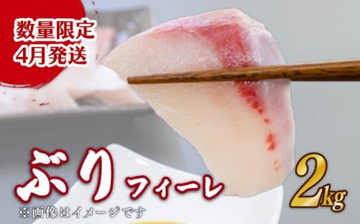 【先行受付 4月発送】ブリ フィーレ 2kg  天然鰤 国産ぶり buri 産地直送 刺身 お刺身 漬け丼 茶漬け 新鮮 鮮魚  国産 刺身 刺し身 魚 魚介 国産 天然 三重 南伊勢町 伊勢 志摩 二万円 20000円 外湾漁業協同組合