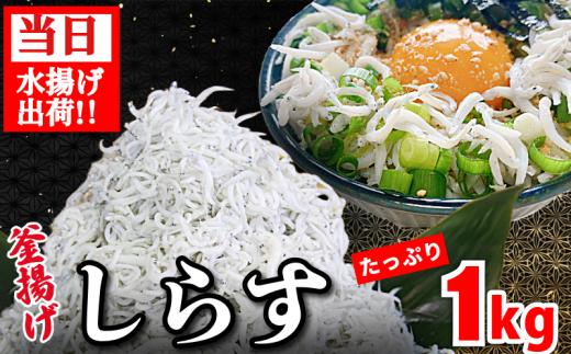 しらす 釜揚げ 1kg ちりめんじゃこ じゃこ しらす ちりめん 小魚 魚 海鮮 魚介類 魚貝 シーフード いわし 鰯 おかず おつまみ 惣菜 弁当 ご飯 のお供 ごはん 酒の肴 のお供 小分け 冷蔵 新鮮 海鮮 お取り寄せ グルメ ギフト プレゼント 贈答 人気 おすすめ 徳島県 小松島市 和田島産