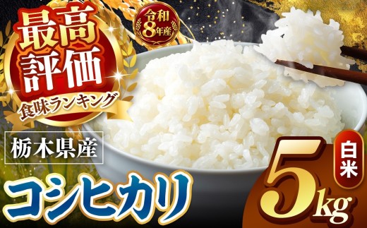 【令和8年産 先行予約】 ＼訳あり／ こしひかり 新米 白米 5kg | 米 お米 こめ コメ 白米 ライス ご飯 ごはん 美味しい 米 とちぎの星 こしひかり コシヒカリ 5kg 銘柄米 ブランド米 令和8年産 産地直送  新米  国産 国産米 栃木県産 お米 栃木県産米 お取り寄せ  2026年産 米 kome 栃木県 真岡市