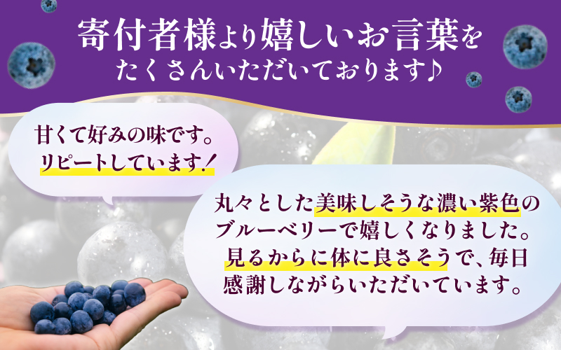 無農薬 童集乃村 ブルーベリー 生果 1kg 【2026年8月1日以降より順次発送】 フルーツ 果物 くだもの スムージー ジャム 朝食 デザート 特産品 人気 国産 旬 三重県 熊野市【mnak00