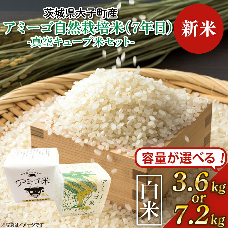 【ふるさと納税】【新米】【2025年11月初旬頃順次発送予定】【選べる】令和7年産 新米 真空キューブ米 2合(300g)×12個・24個「アミーゴ米」（自然栽培米（7年目）・天日干し米）｜茨城県 大子町 米 おだがけ米 はざがけ米 いねかけ米 真空パック 農福連携(CA014)