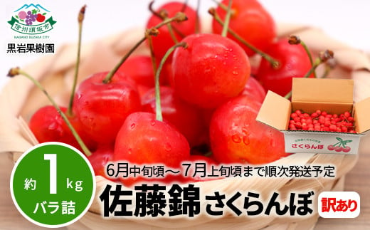 [No.5657-2554]佐藤錦 さくらんぼ 訳あり 約1kg (バラ詰) 《黒岩果樹園》■2025年発送■※6月中旬頃～7月上旬頃まで順次発送予定