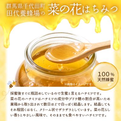 ふるさと納税 千代田町 【6月発送】はちみつ 【千代田町の蜂蜜】400g 「菜の花」はちみつ ch011-007-6 |  | 01