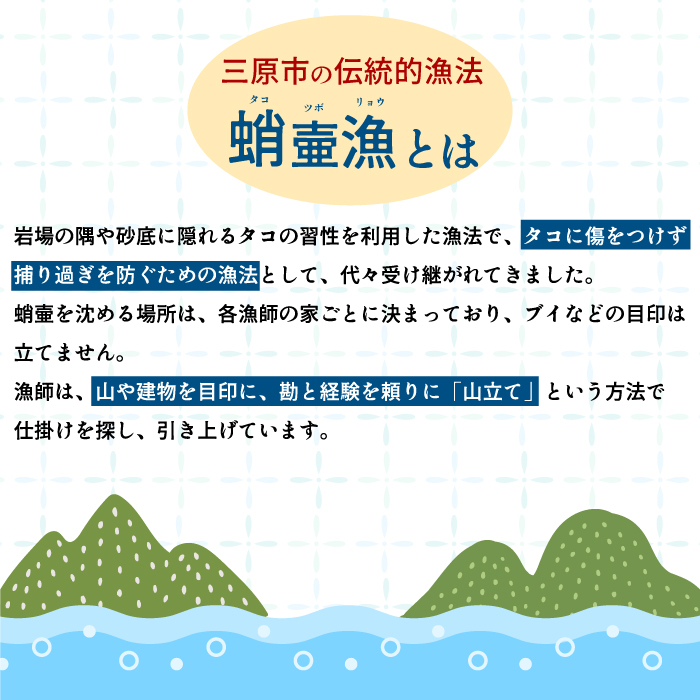 各日1組限定！貸切！蛸壷漁体験！（お土産付き）1名～5名 たこ タコ 伝統 山立て 漁法 夏休み 思い出 学習 宿題 旅行 家族 レジャー 利用券 トラベル 広島県 三原市  031009