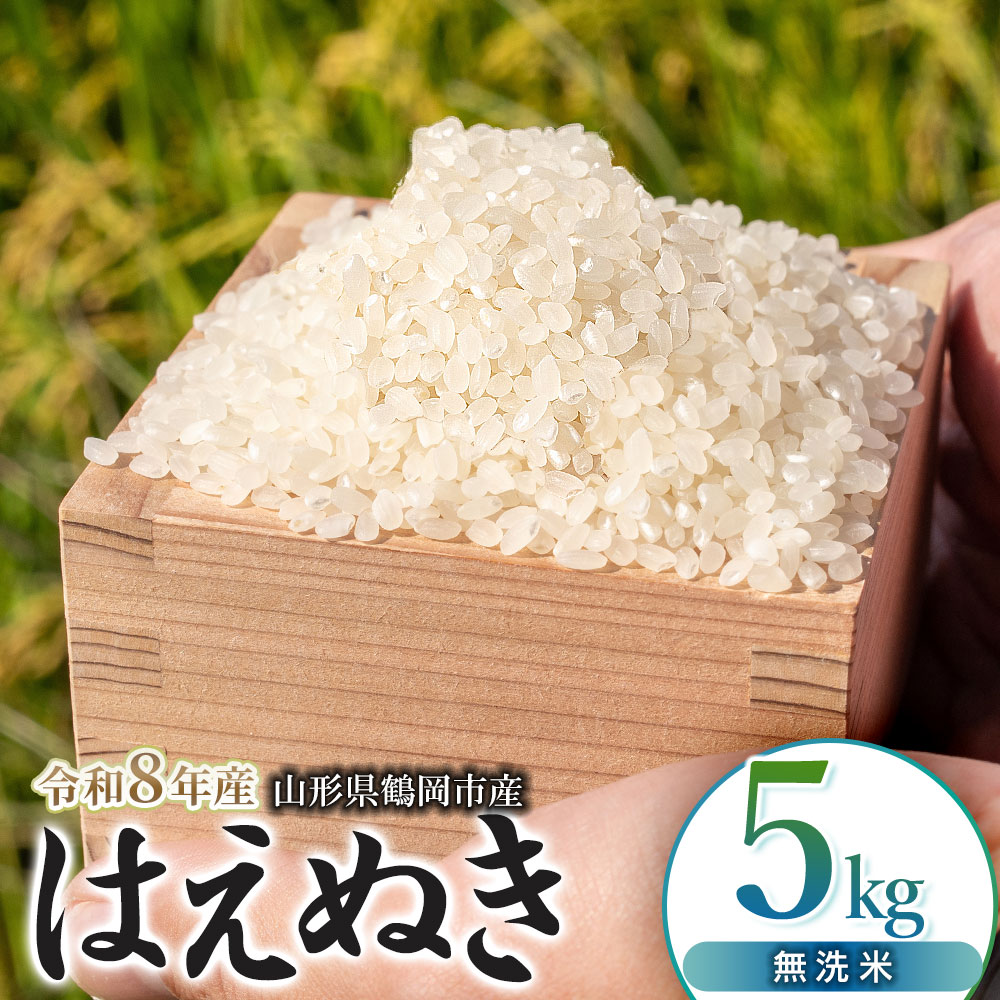 【令和8年産】 馬町さくらファームのはえぬき 無洗米 5kg（5kg×1袋） 山形県鶴岡市 K-831 | 米 はえぬき お米 5キロ コメ こめ ご飯 ごはん ブランド米 米どころ 庄内米 国産 美