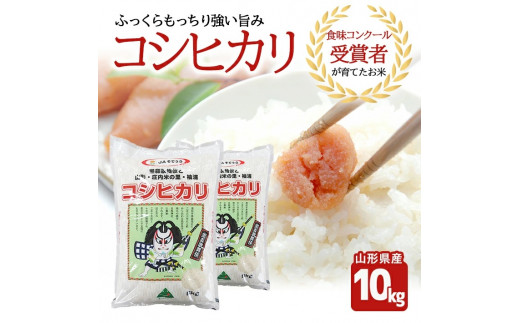 令和7年産【精米】コシヒカリ　10kg(5kg×2袋) JS SC0694