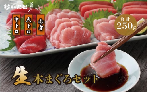 【月間300セット限定！鮮度抜群・採れたて直送！】【日付指定可】国産生本マグロ3種盛（大トロ　中トロ　赤身）合計約250g [B-11021] / 食べ比べ 直送 柵どり 福井県