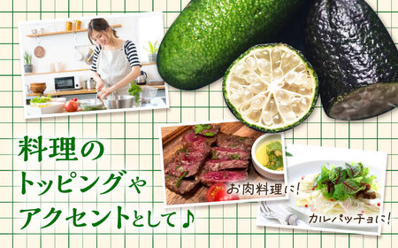 フルーツ 果物 くだもの 新感覚フルーツ！ 森のキャビア フィンガーライム 50g×4パック 柑橘 柑橘類 国産 ライム フルーツ 果物 くだもの 広島県産 江田島市/小原農園[XCE011]