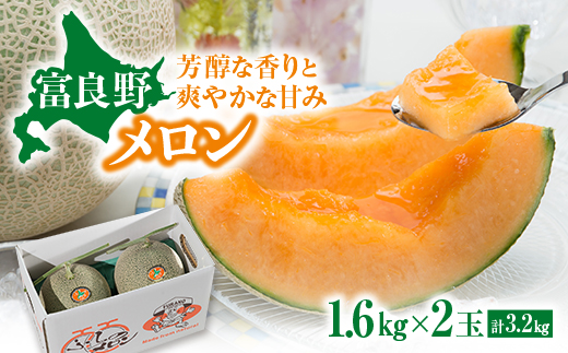 
                  ＜先行受付　2026年発送＞赤肉メロン　1.6kg×2玉_メロン 赤肉 果物 フルーツ 1.6kg 2玉 送料無料 贈答 ギフト ふらの 富良野産 北海道 富良野市【1695337】
                
