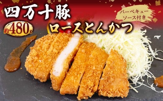 四万十ポークカツ【特製たれ付き】4人前 【道の駅須崎】