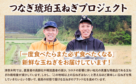 玉ねぎ つなぎコハク玉ねぎ 5kg《4月中旬-5月中旬出荷》熊本県 葦北郡 津奈木町 つなぎ琥珀玉ねぎプロジェクト 野菜 たまねぎ