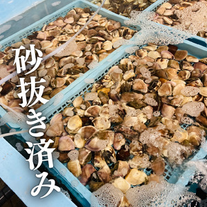 千葉県産 真空冷凍はまぐり(ぜんなはまぐり) 約2.5kg(約500g×5P)　【配送不可地域：離島】【1539121】