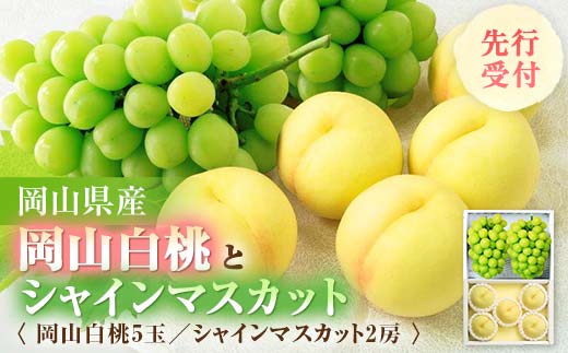 ◆先行受付◆　岡山白桃とシャインマスカット　2027年発送_ 岡山白桃 果汁たっぷり 高級フルーツ 夏 秋 ギフト シャインマスカット ぶどう 岡山県 津山市 産直 産地直送 送料無料 人気 おすすめ 【1349778】