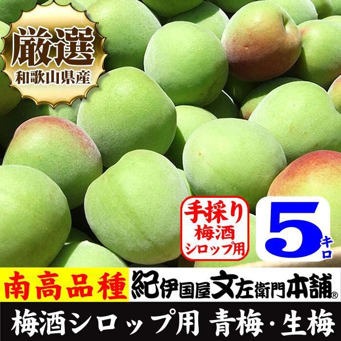 【ふるさと納税】南高梅【緑】5kg ■特大サイズ 梅酒用 フレッシュ青梅（生梅）／紀伊国屋文左衛門本舗