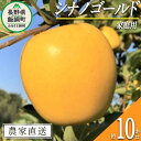 【ふるさと納税】 りんご シナノゴールド 家庭用 10kg ファームトヤ 沖縄県への配送不可 令和6年度収穫分 長野県 飯綱町 〔 信州 果物 フルーツ リンゴ 林檎 長野 予約 農家直送 〕発送時期：2024年11月中旬～2024年12月下旬 {**}