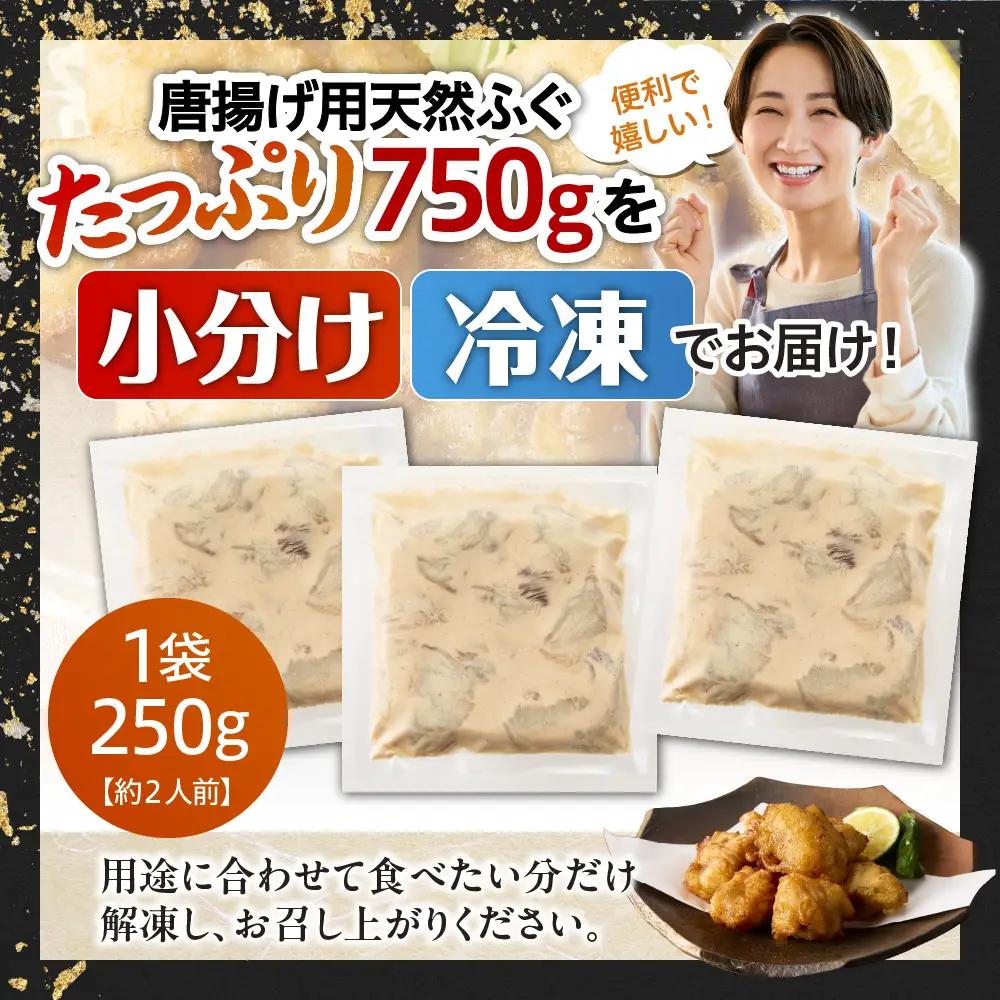 天然輪島ふぐの唐揚げ（750g） wa001　天然　ふぐ　唐揚げ
