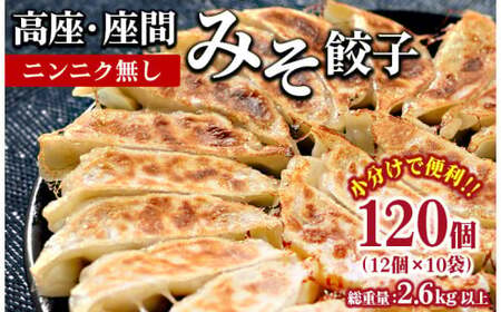 高座・座間みそ餃子（ニンニク無し）100個（10個×10袋）｜ ぎょうざ ギョウザ 味噌 おつまみ おかず 惣菜 簡単調理 中華 グルメ お取り寄せ 冷凍 小分け
