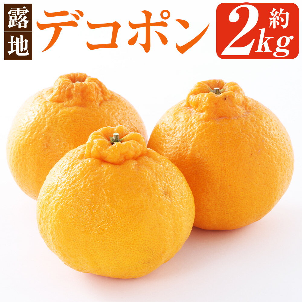 【ふるさと納税】熊本県産 デコポン 露地栽培 約2kg 約7～8玉 柑橘 みかん ミカン 蜜柑 でこぽん 果物 くだもの 果実 フルーツ 旬 お取り寄せ ギフト 国産 九州 熊本県 芦北 常温 送料無料 【2026年3月上旬発送開始】
